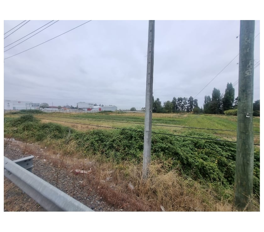 Parcelas en Venta Ñuble Chillán Viejo - Fotos de Terreno 5.7 Ha Orilla Ruta 5 Sur. Chillán. Excelente Precio