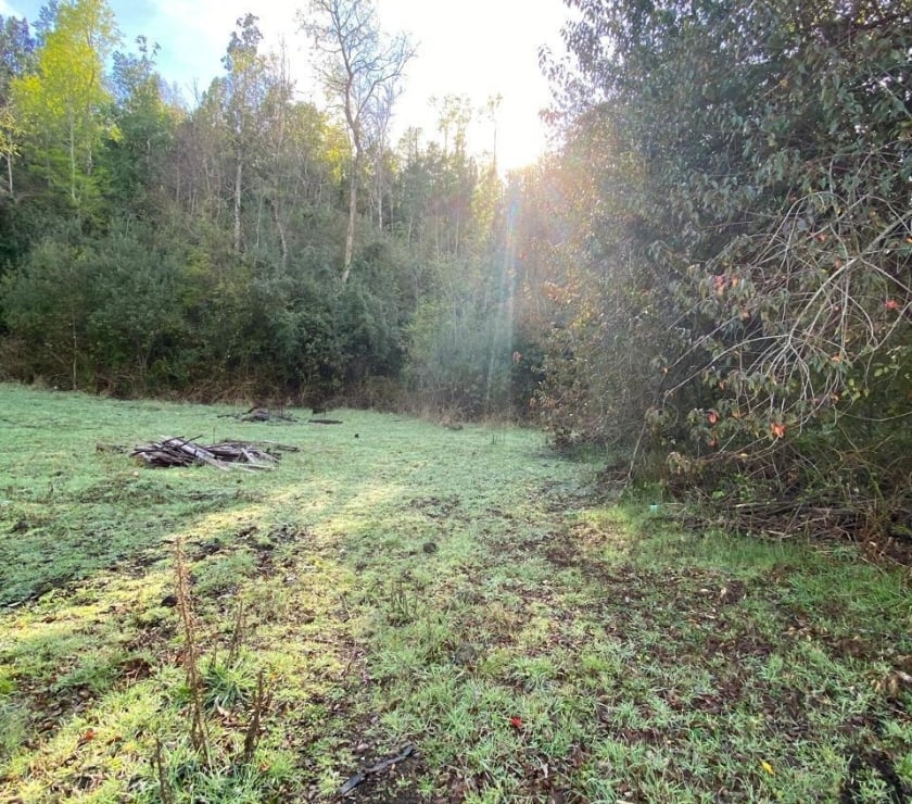 Parcelas en Venta Valdivia Panguipulli - Fotos de Entre Coñaripe y Lican Ray sector pucura