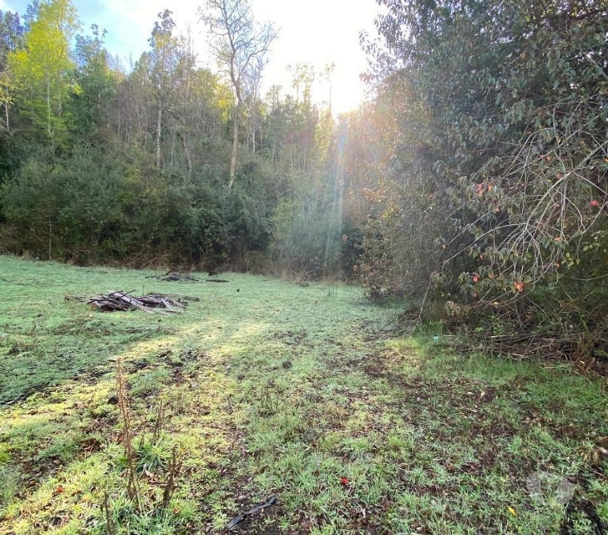 Parcelas en Venta Valdivia Panguipulli - Fotos de Entre Coñaripe y Lican Ray sector pucura