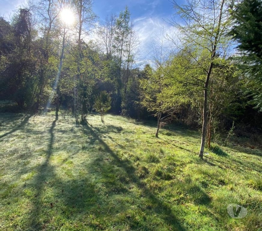 Parcelas en Venta Valdivia Panguipulli - Fotos de Entre Coñaripe y Lican Ray sector pucura