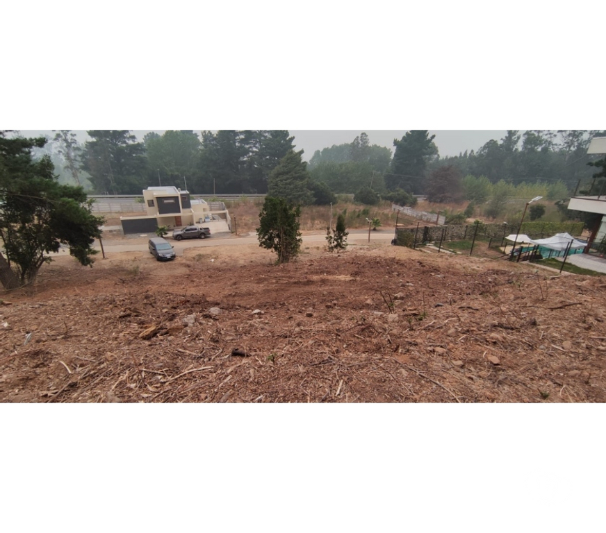 Parcelas en Venta Concepción San Pedro de la Paz - Fotos de Terreno en Reserva Mitrinhue Camino a Santa Juana