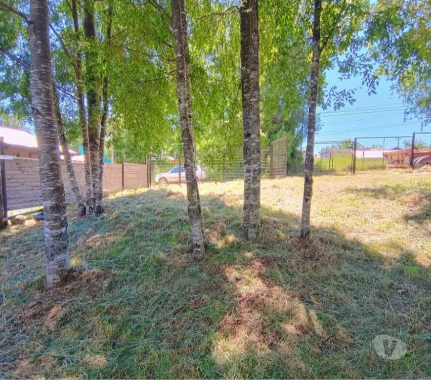 Parcelas en Venta Cautín Villarrica - Fotos de Sitio urbano en sector de segunda faja al volcán Villarrica