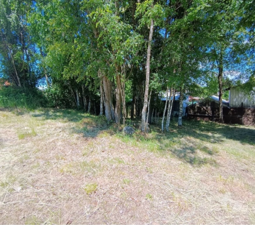 Parcelas en Venta Cautín Villarrica - Fotos de Sitio urbano en sector de segunda faja al volcán Villarrica