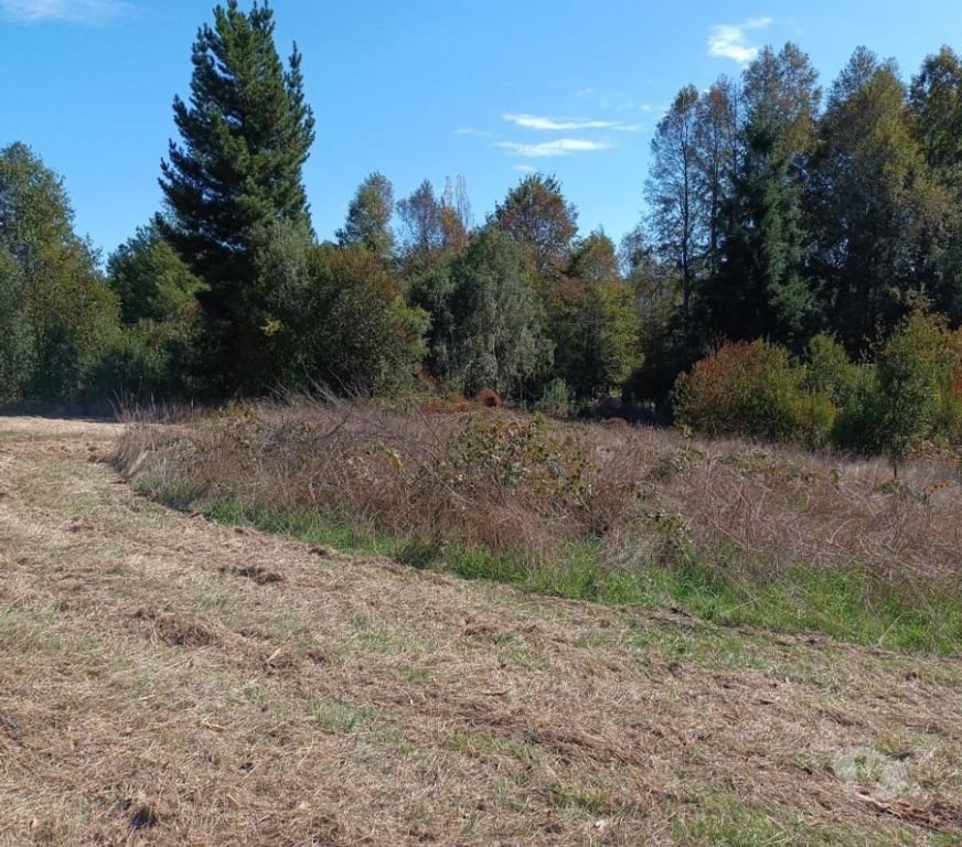 Parcelas en Venta Cautín Villarrica - Fotos de Hermosa parcela con calidad Indígena