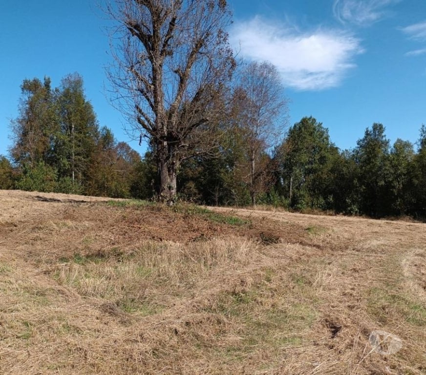 Parcelas en Venta Cautín Villarrica - Fotos de Hermosa parcela con calidad Indígena