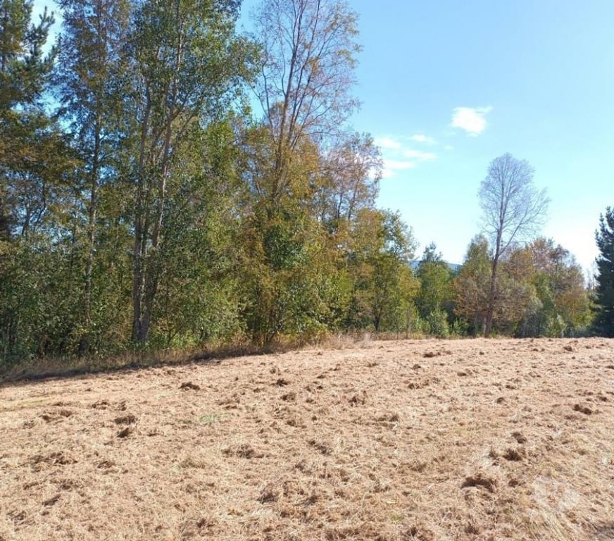 Parcelas en Venta Cautín Villarrica - Fotos de Hermosa parcela con calidad Indígena