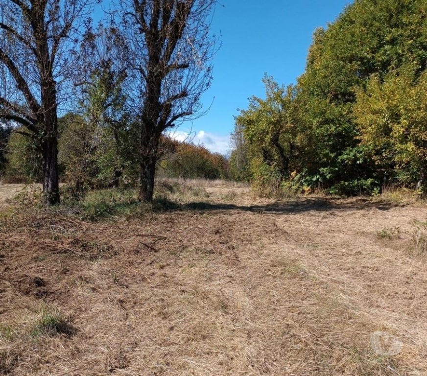 Parcelas en Venta Cautín Villarrica - Fotos de Hermosa parcela con calidad Indígena
