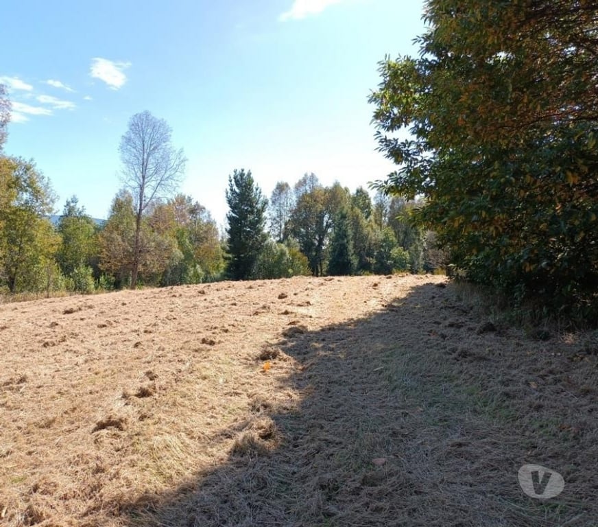 Parcelas en Venta Cautín Villarrica - Fotos de Hermosa parcela con calidad Indígena