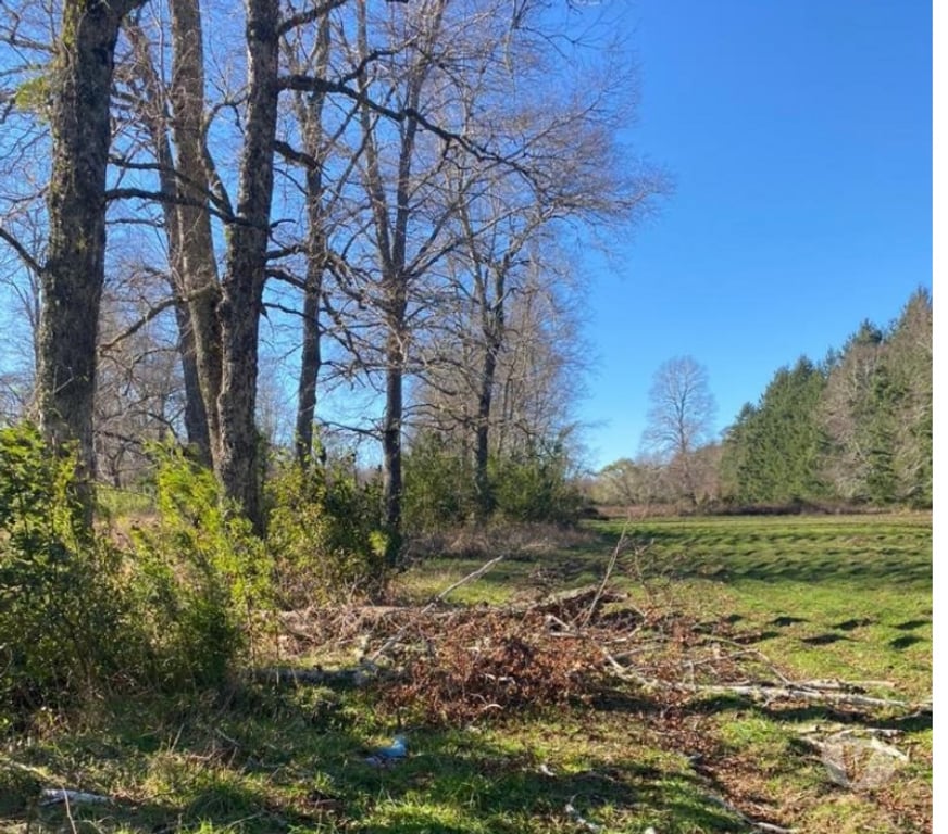 Parcelas en Venta Cautín Villarrica - Fotos de Hermosa parcela a 10 minutos de Villarrica
