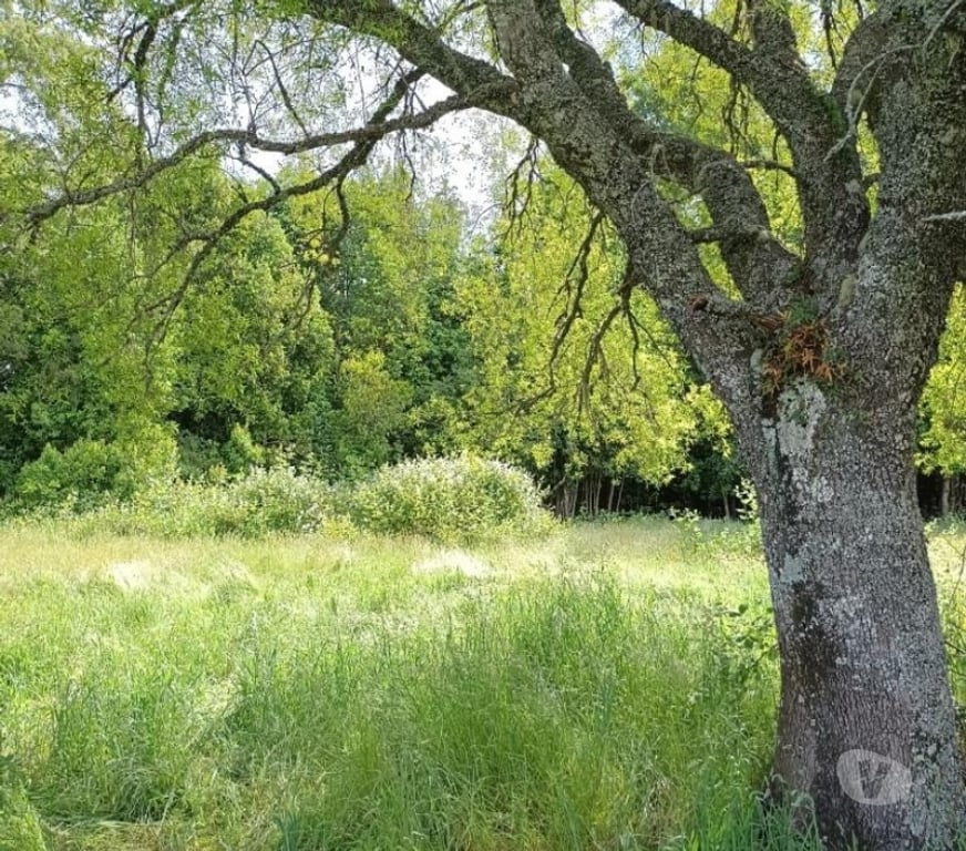 Parcelas en Venta Cautín Villarrica - Fotos de Hermosa parcela en condominio, ruta Villarrica a Loncoche