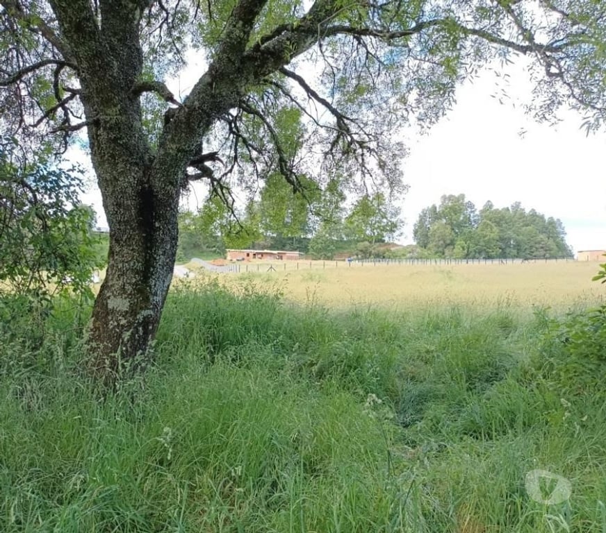 Parcelas en Venta Cautín Villarrica - Fotos de Hermosa parcela en condominio, ruta Villarrica a Loncoche
