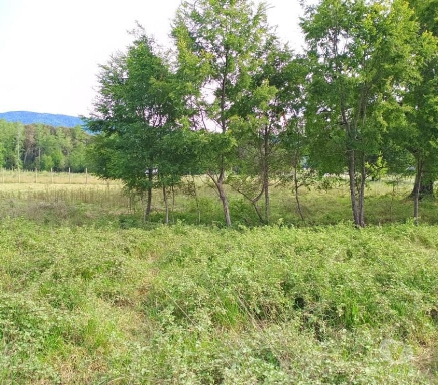 Parcelas en Venta Cautín Villarrica - Fotos de Parcela a 18 Kilómetros del centro de Villarrica