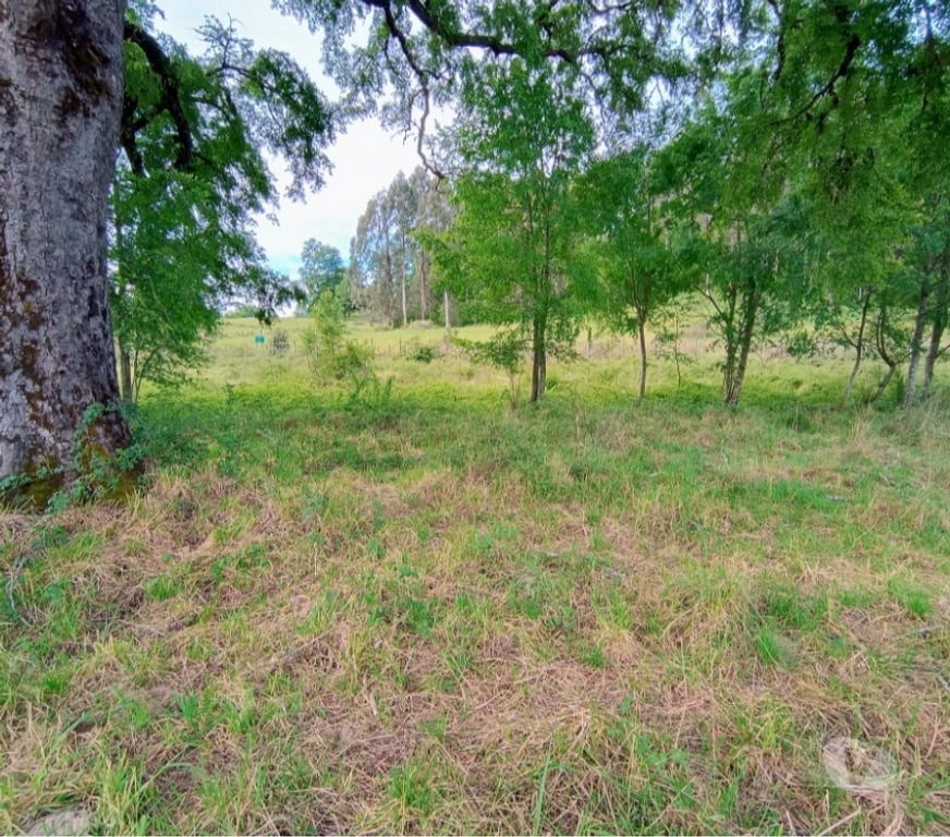 Parcelas en Venta Cautín Villarrica - Fotos de Parcela a 18 Kilómetros del centro de Villarrica