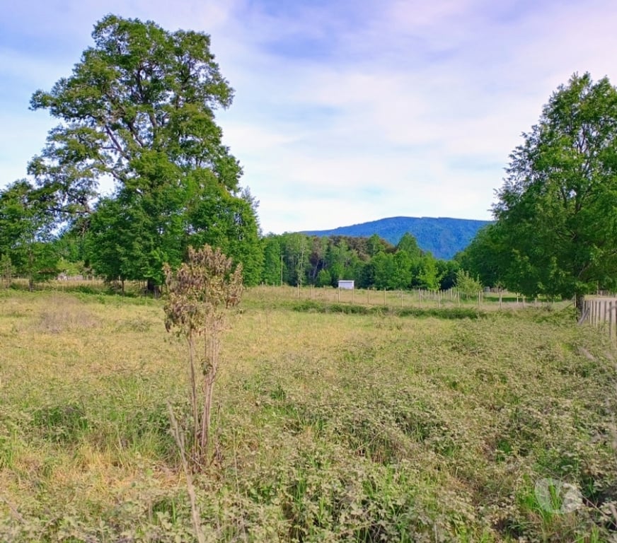 Parcelas en Venta Cautín Villarrica - Fotos de Parcela a 18 Kilómetros del centro de Villarrica