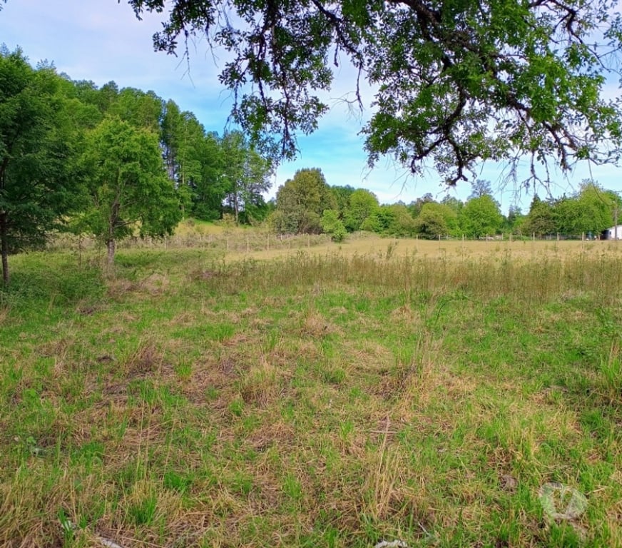 Parcelas en Venta Cautín Villarrica - Fotos de Parcela a 18 Kilómetros del centro de Villarrica