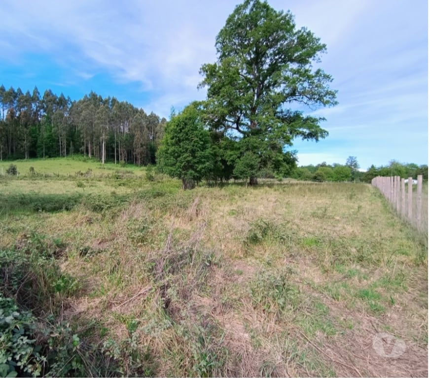 Parcelas en Venta Cautín Villarrica - Fotos de Parcela a 18 Kilómetros del centro de Villarrica