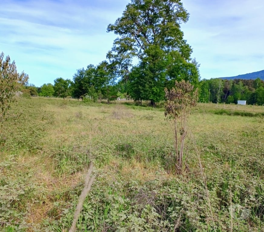 Parcelas en Venta Cautín Villarrica - Fotos de Parcela a 18 Kilómetros del centro de Villarrica