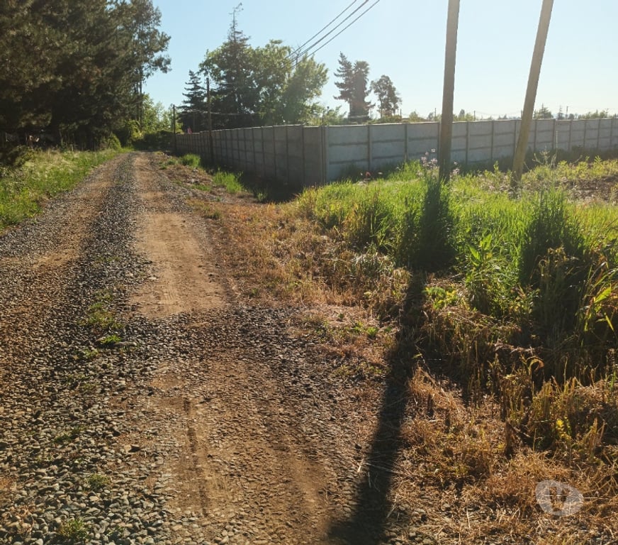 Parcelas en Venta Talca San Clemente - Fotos de Parcelas de 5000m2 en San Clemente