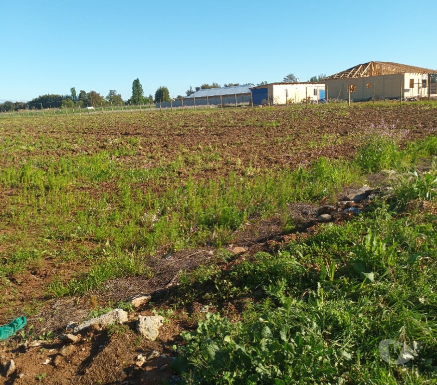 Parcelas en Venta Talca San Clemente - Fotos de Parcelas de 5000m2 en San Clemente