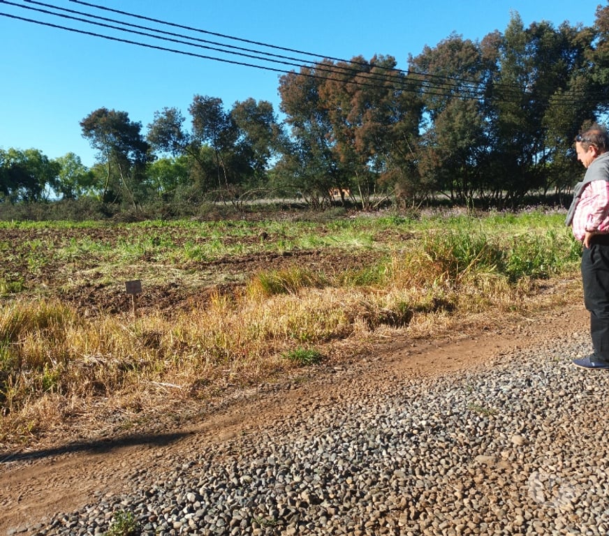 Parcelas en Venta Talca San Clemente - Fotos de Parcelas de 5000m2 en San Clemente