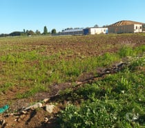 Parcelas de 5000m2 en San Clemente