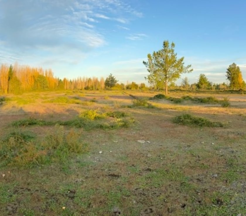 Terrenos en Venta Colicheo