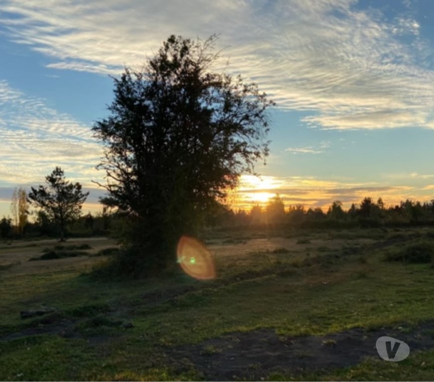 Parcelas en Venta Bío-Bío Cabrero - Fotos de Terrenos en Venta Colicheo