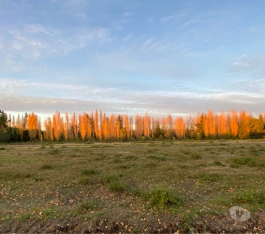 Parcelas en Venta Bío-Bío Cabrero - Fotos de Terrenos en Venta Colicheo