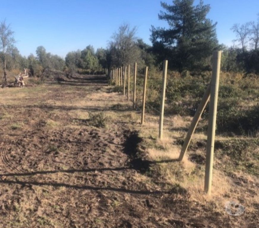 Parcelas en Venta Bío-Bío Cabrero - Fotos de Terrenos en Venta Colicheo