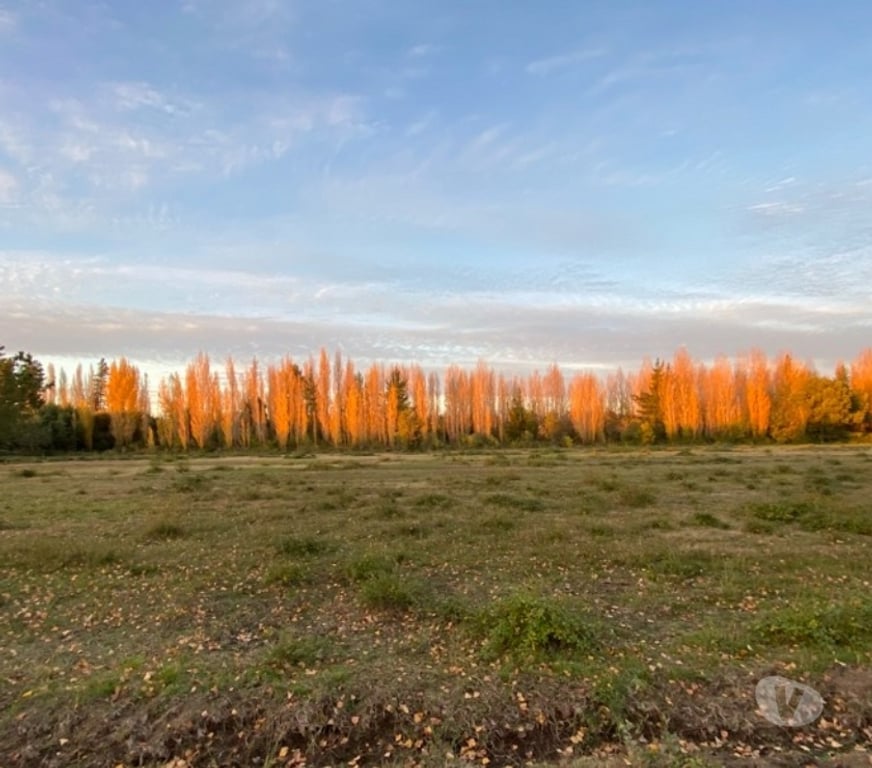 Parcelas en Venta Bío-Bío Cabrero - Fotos de Terrenos en Venta Colicheo