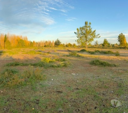 Parcelas en venta Cabrero Bío-Bío - Fotos de Terrenos en Venta Colicheo