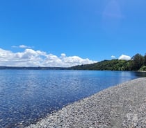 28 hectáreas en Lago Llanquihue.