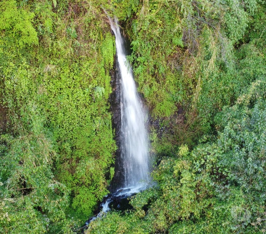 Venta de Haciendas Osorno Puyehue - Fotos de 17 hectáreas en Lago Rupanco.