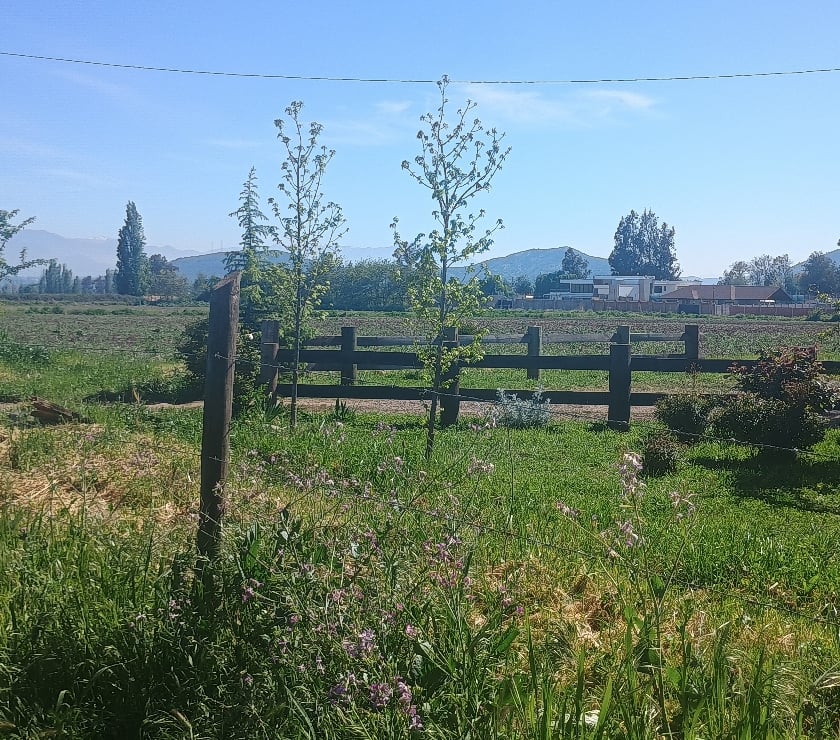 Parcelas en Venta Cachapoal Rengo - Fotos de Hermosa parcela de agrado en sector Huilquío de Rengo