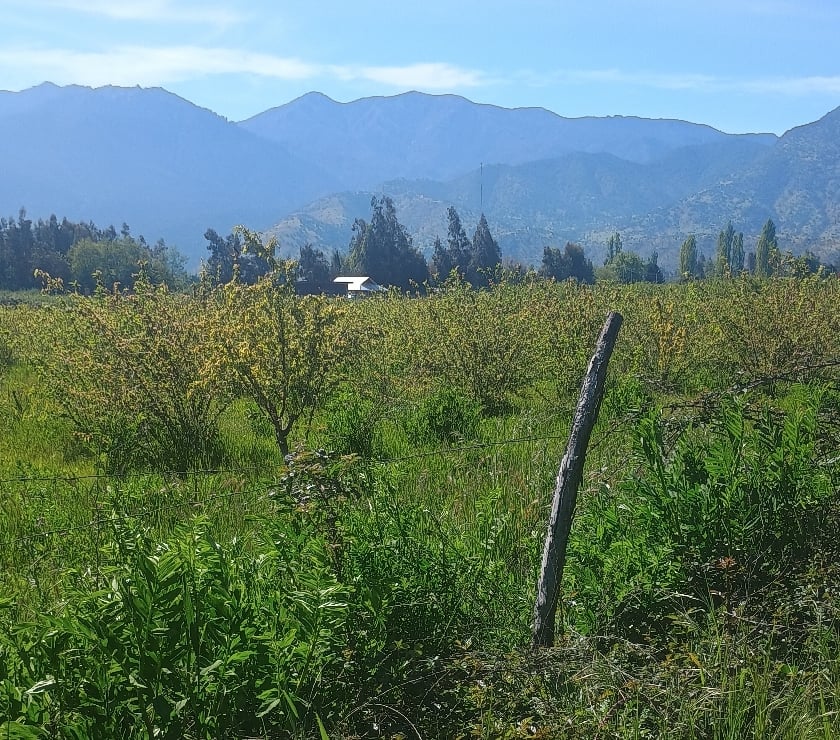Parcelas en Venta Cachapoal Rengo - Fotos de Hermosa parcela de agrado en sector Huilquío de Rengo