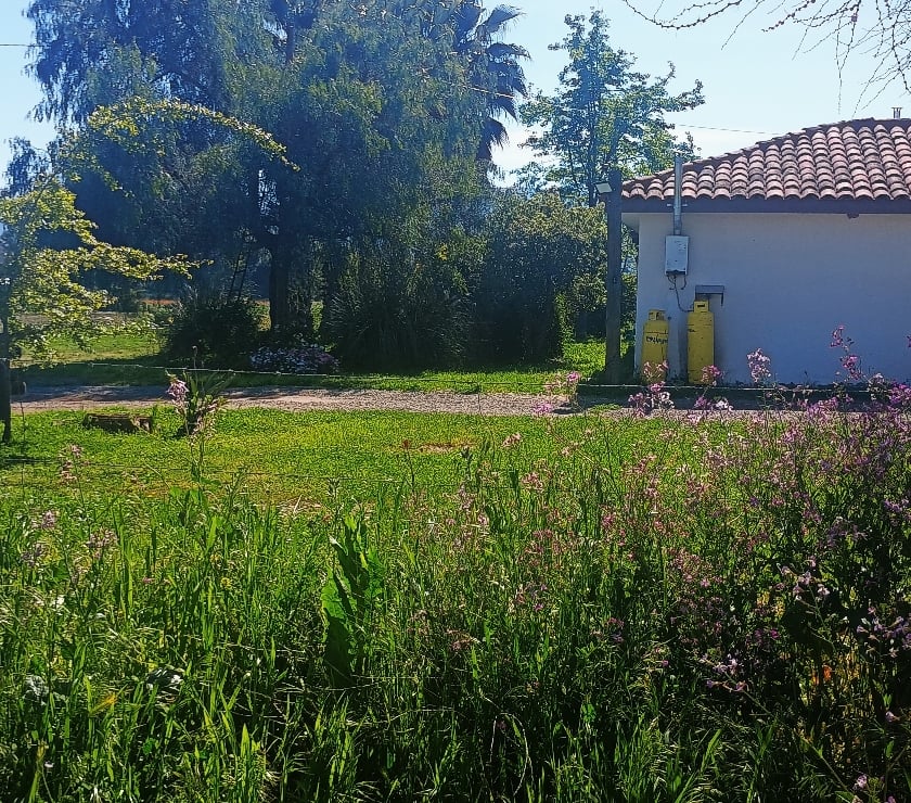 Parcelas en Venta Cachapoal Rengo - Fotos de Hermosa parcela de agrado en sector Huilquío de Rengo