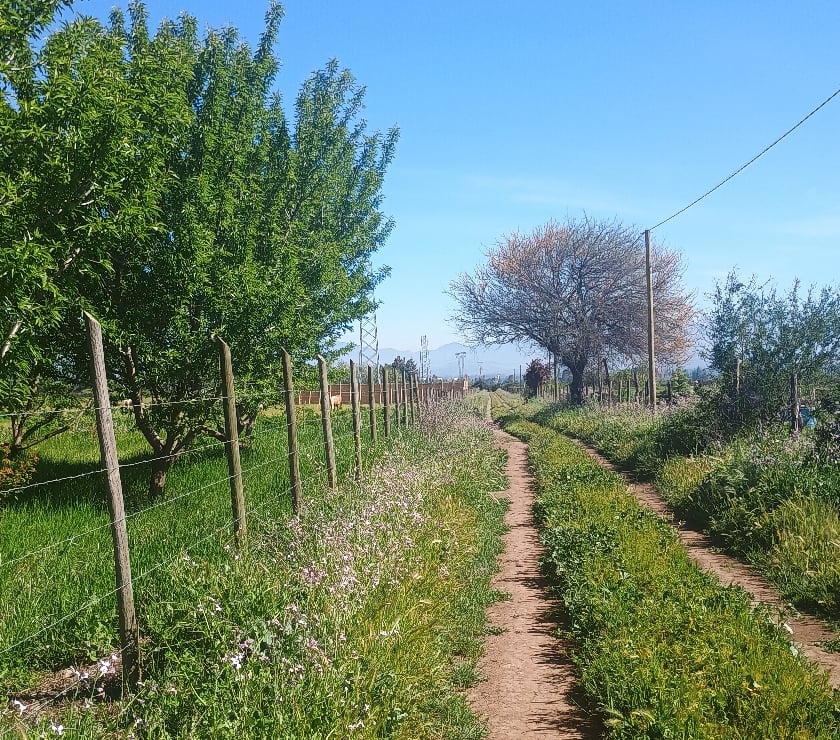 Parcelas en Venta Cachapoal Rengo - Fotos de Hermosa parcela de agrado en sector Huilquío de Rengo