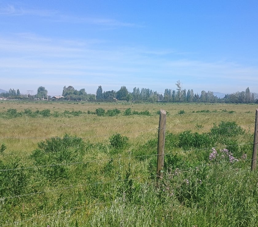 Parcelas en Venta Cachapoal Rengo - Fotos de Hermosa parcela de agrado en sector Huilquío de Rengo