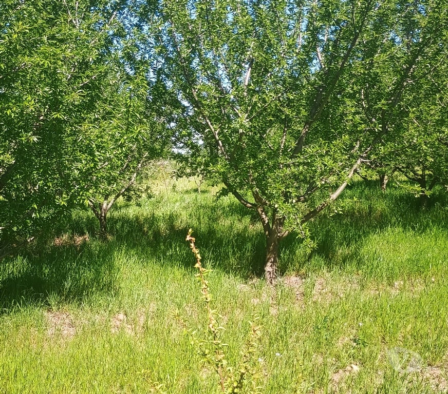 Parcelas en Venta Cachapoal Rengo - Fotos de VENTA CON BONO NAVIDEÑO DE $ 3.000.000