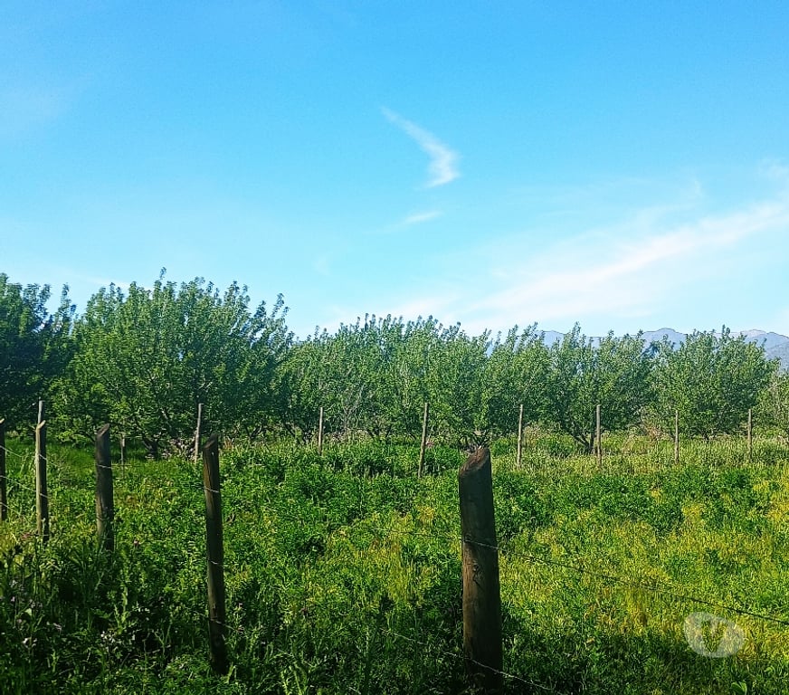 Parcelas en Venta Cachapoal Rengo - Fotos de VENTA CON BONO NAVIDEÑO DE $ 3.000.000