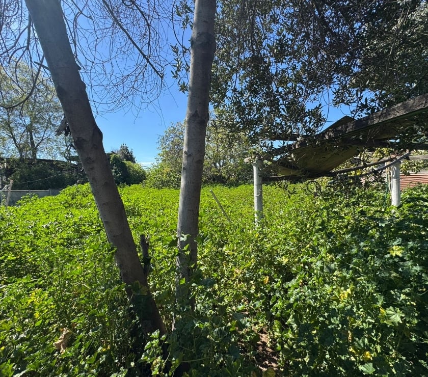 Parcelas en Venta Cachapoal Rancagua - Fotos de Terreno Zañartu , Rancagua