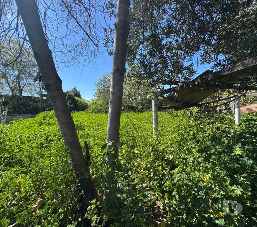 Parcelas en Venta Cachapoal Rancagua - Fotos de Terreno Zañartu , Rancagua