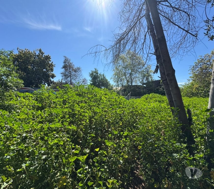 Parcelas en Venta Cachapoal Rancagua - Fotos de Terreno Zañartu , Rancagua