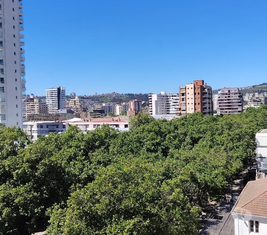 Bienes Raices Valparaíso Viña del Mar - Fotos de Luminoso departamento en Viña, 8Nte. a pasos de Sn Martin