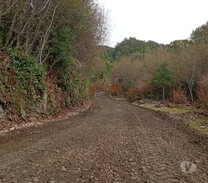 Terrenos en Venta Aisén Aisén - Fotos de PARCELA EN RIO CONDOR