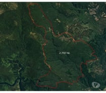 Fotos de Espectacular Campo de 2.750 hás en La Unión, Chile