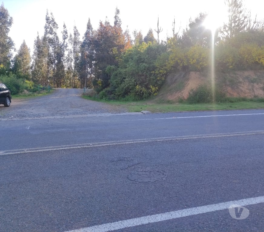 Venta de Haciendas Concepción Florida - Fotos de 17.7 millones media hectárea, vendo paño completo, 1.7 has