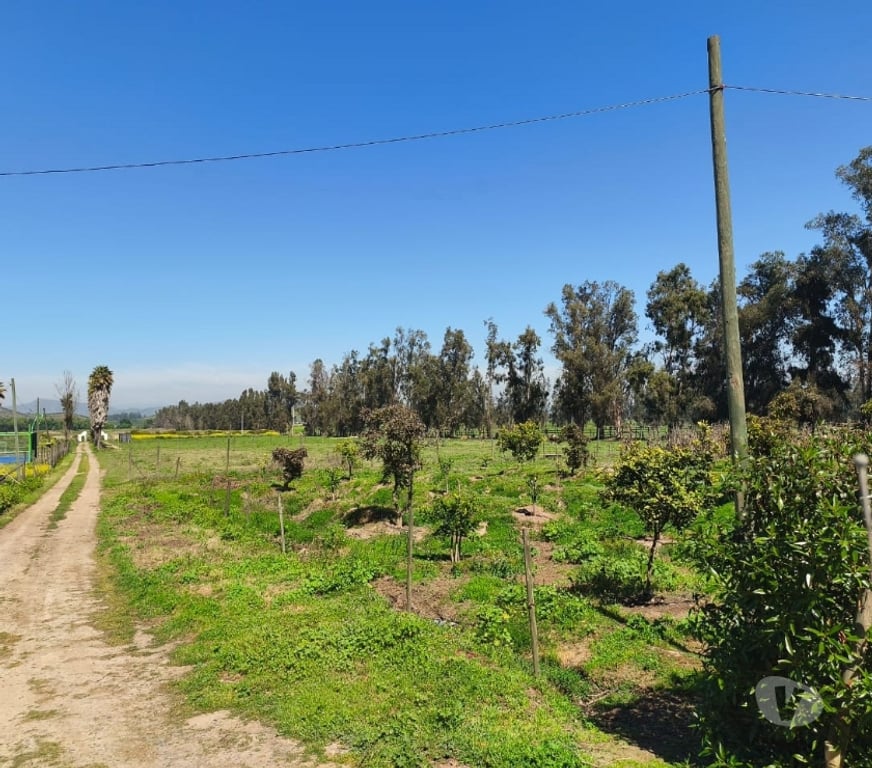Bienes Raices Melipilla Melipilla - Fotos de Se venden hermosas parcelas