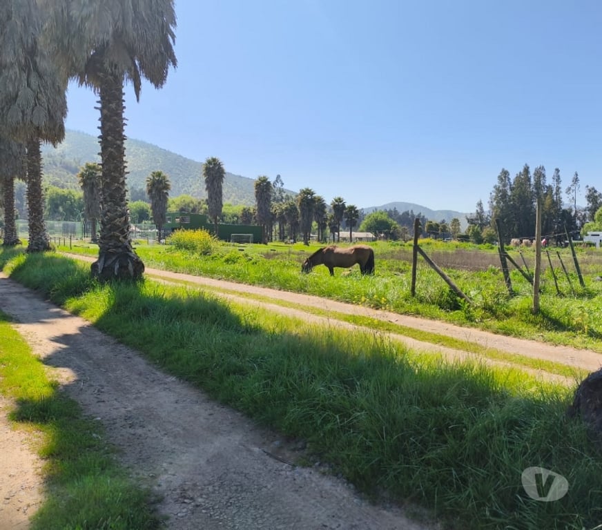 Bienes Raices Melipilla Melipilla - Fotos de Se venden hermosas parcelas