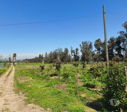 Bienes Raices Melipilla Melipilla - Fotos de Se venden hermosas parcelas